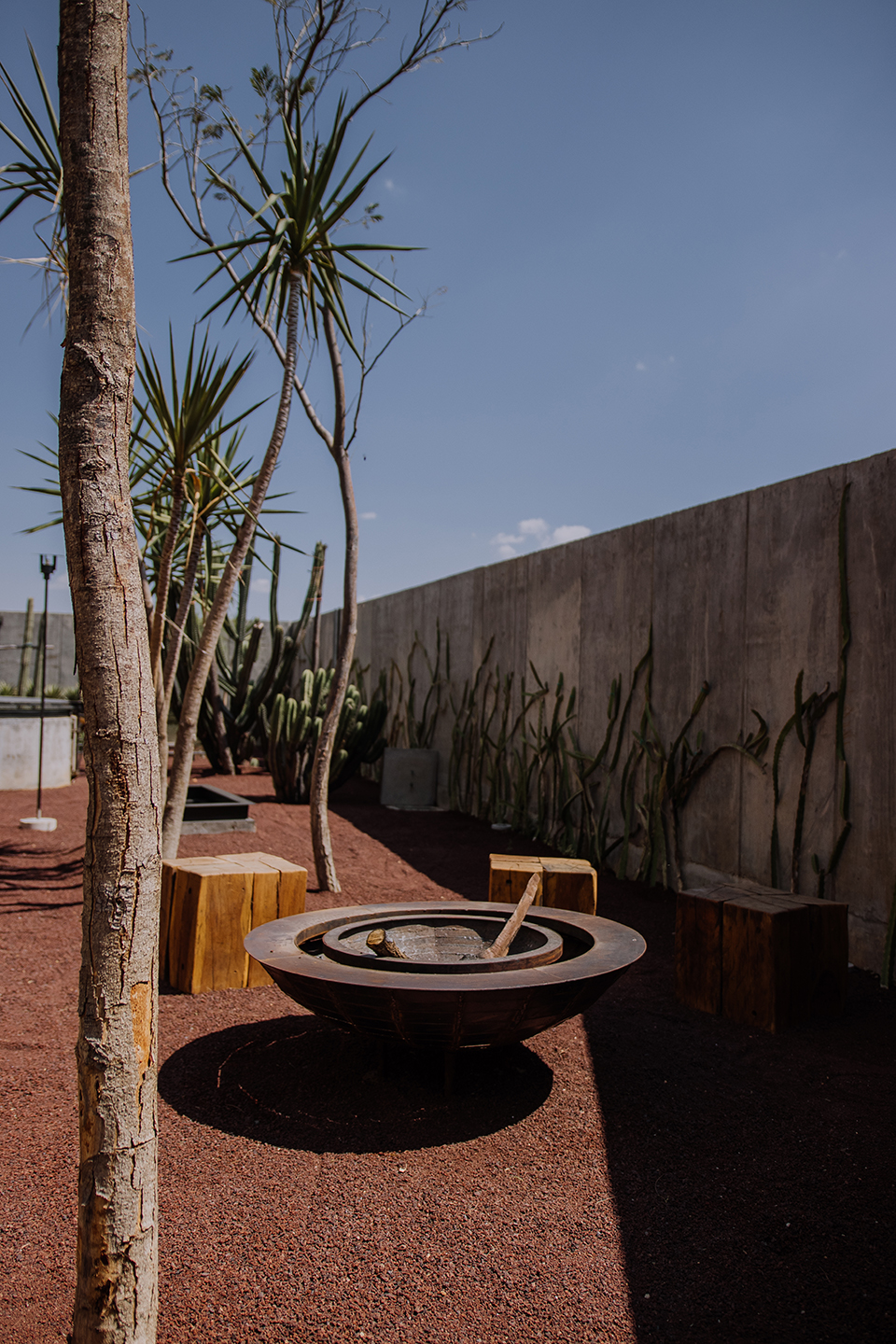 弗拉维亚豪华酒店丨墨西哥瓦哈卡丨ROOTSTUDIO-17