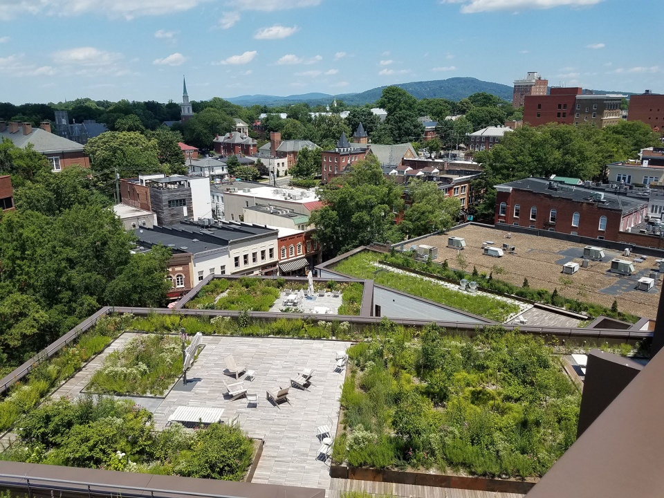 维吉尼亚州夏洛茨维尔企业家发展中心丨美国维吉尼亚丨EskewDumezRipple,WOLF ACKERMAN-39