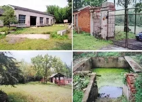 文艺大叔租下8亩林场，花16年种花养草，如今惊艳世人，连美国杂志都给他点赞-43