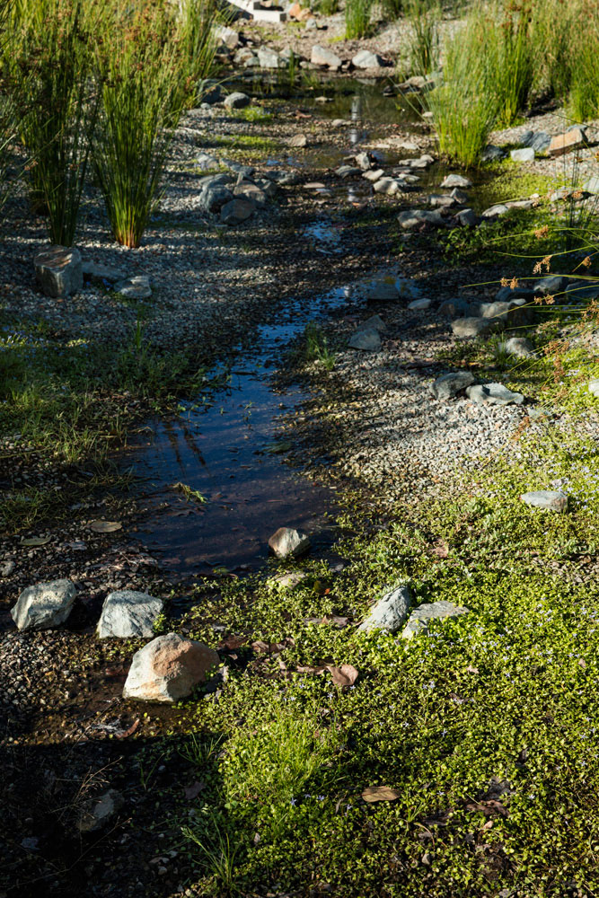 坎贝尔第 5 区生态景观设计丨澳大利亚堪培拉-12