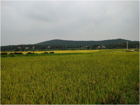 药山文化旅游景区旅游总体规划丨中国湖南丨清尚建筑设计研究院第二设计所-8