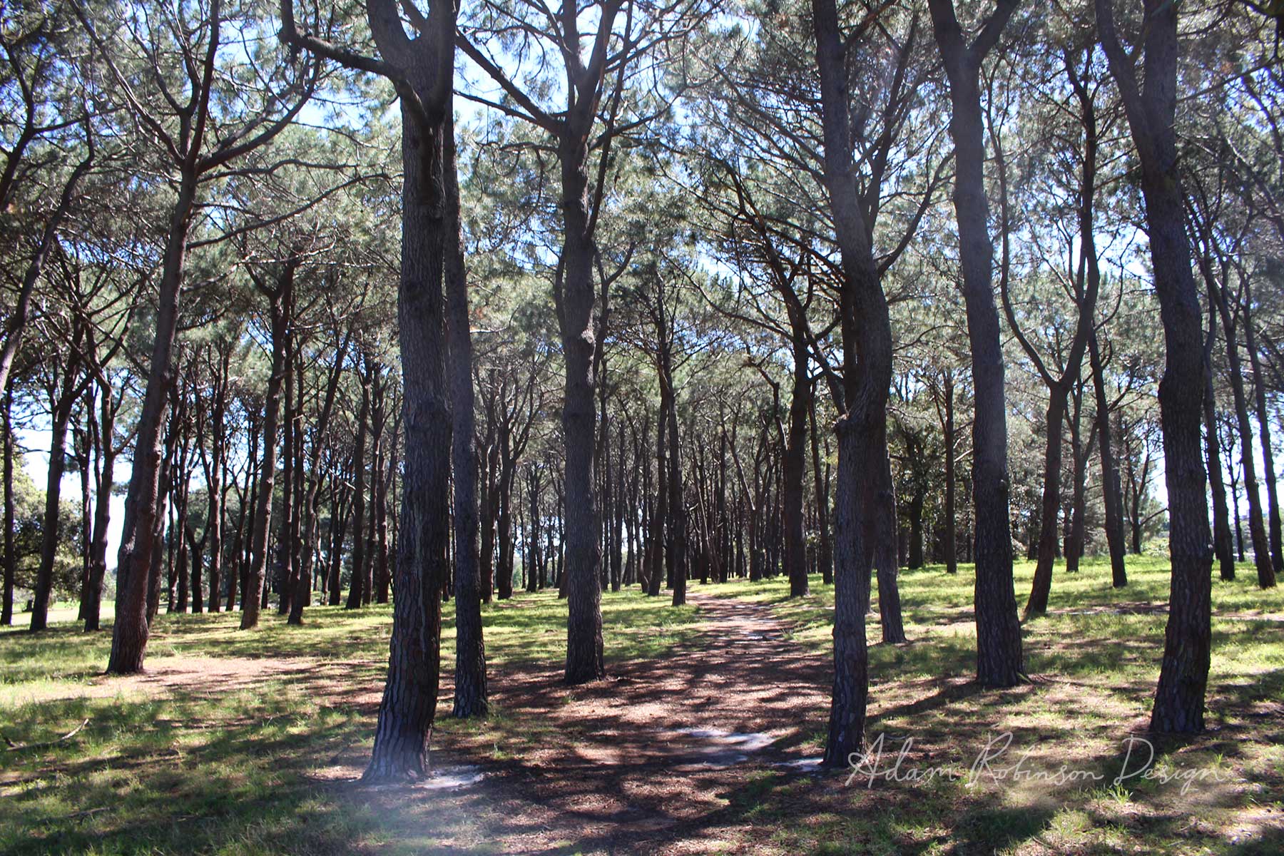 Nurture Your Nature — Adam Robinson Design-0