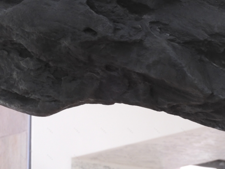 丨瑞士丨艺术家,策展人,科学家等多方人员-13