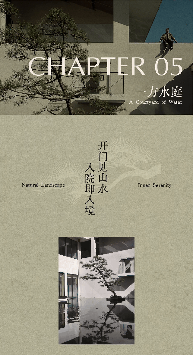 春山在望  溧阳天目湖玉枝茶场 茶语山房-39