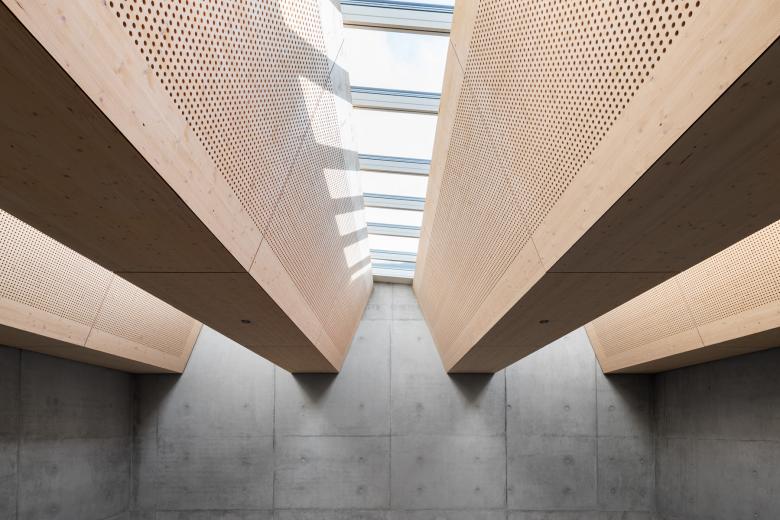 VELUX Commercial Schweiz AG丨Kultur- und Sportkomplex Romont丨瑞士-5