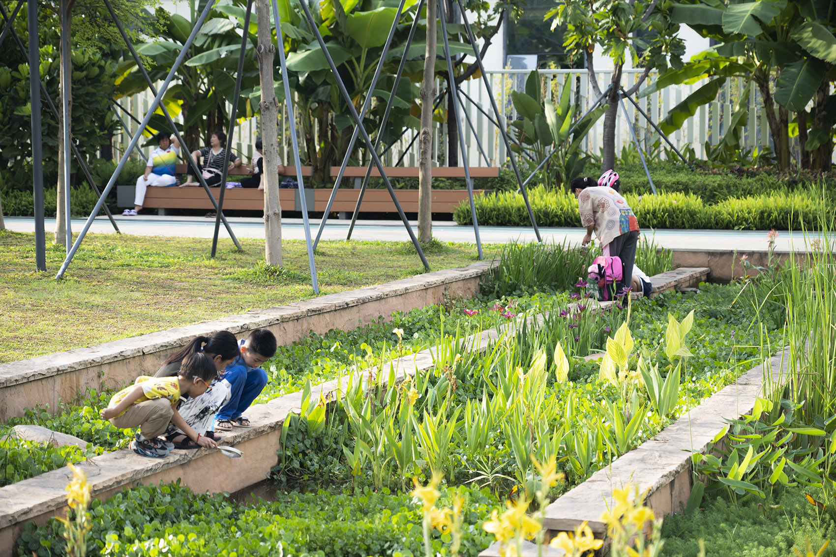 悦清公园丨中国深圳丨中国建筑西南设计研究院有限公司深圳景观设计院-43