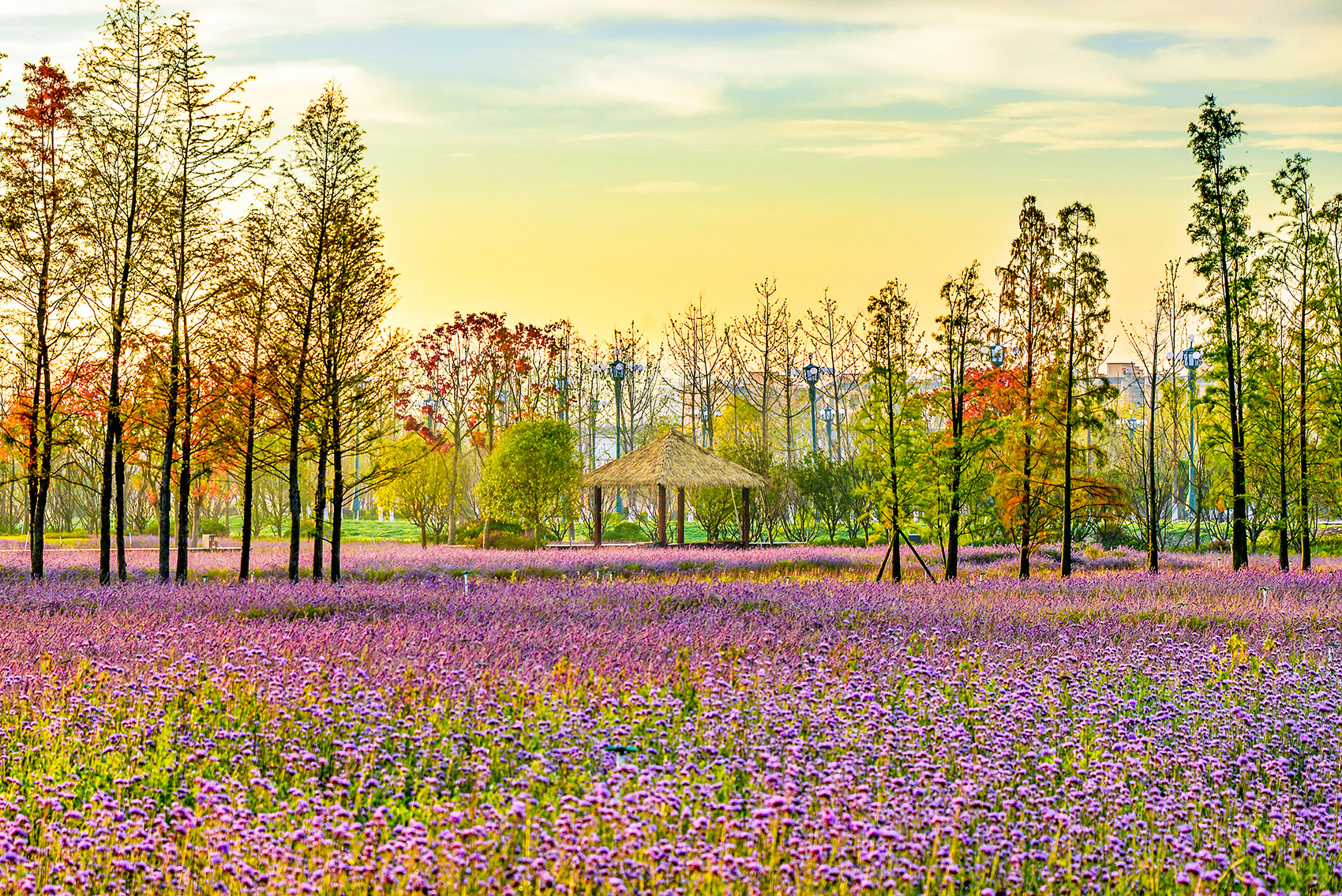 昌宁右甸河流域公园系统丨中国保山丨元有(成都)规划设计有限公司-16