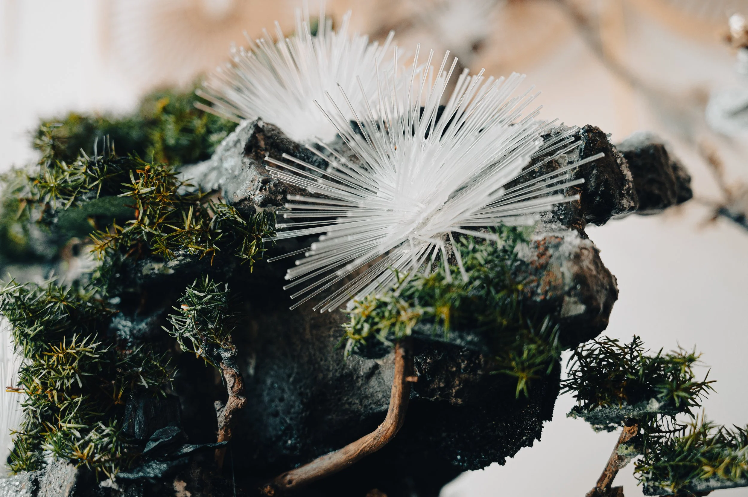 Slice of Taste（富錦樹臺菜香檳）-19