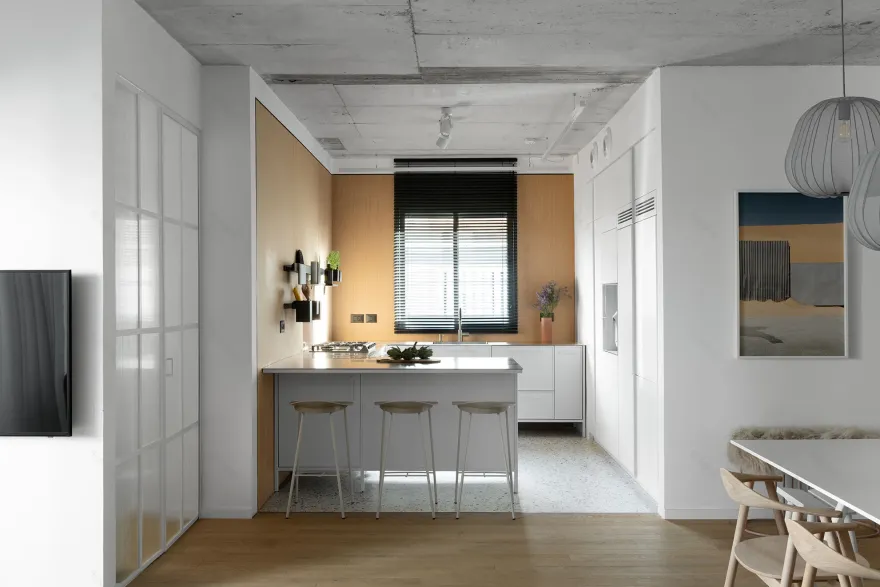 以色列 105 平米现代公寓-20