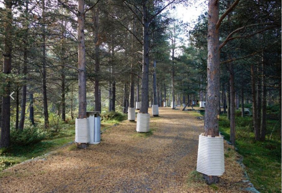 挪威高山上的匠心公厕-135