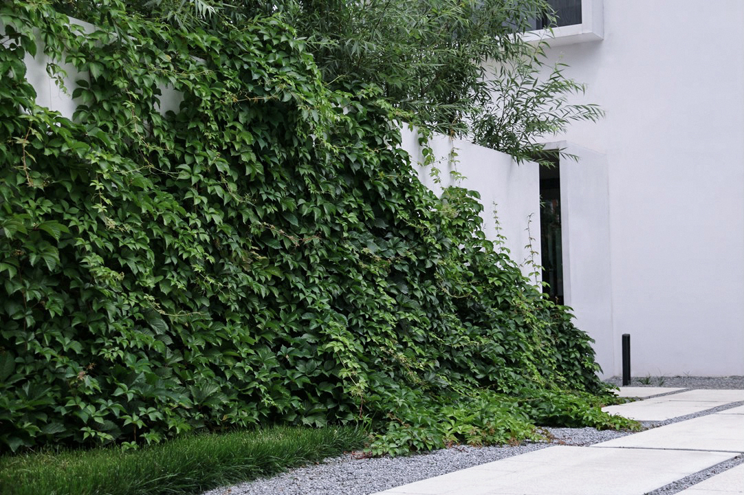 阿那亚雾灵山停云隐庐与北京阳光上东总部丨中国北京丨致舍(北京)景观规划设计事务所-22