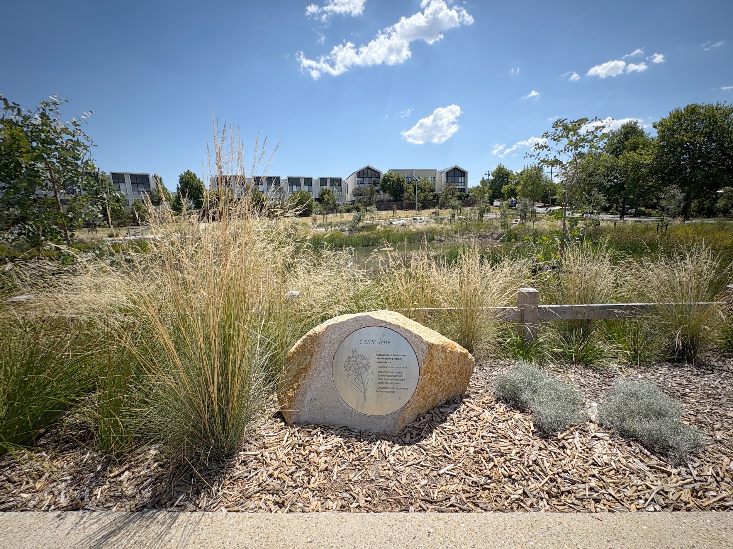 贝尔赛保护区奇恩赛德城市公园丨FFLA-8