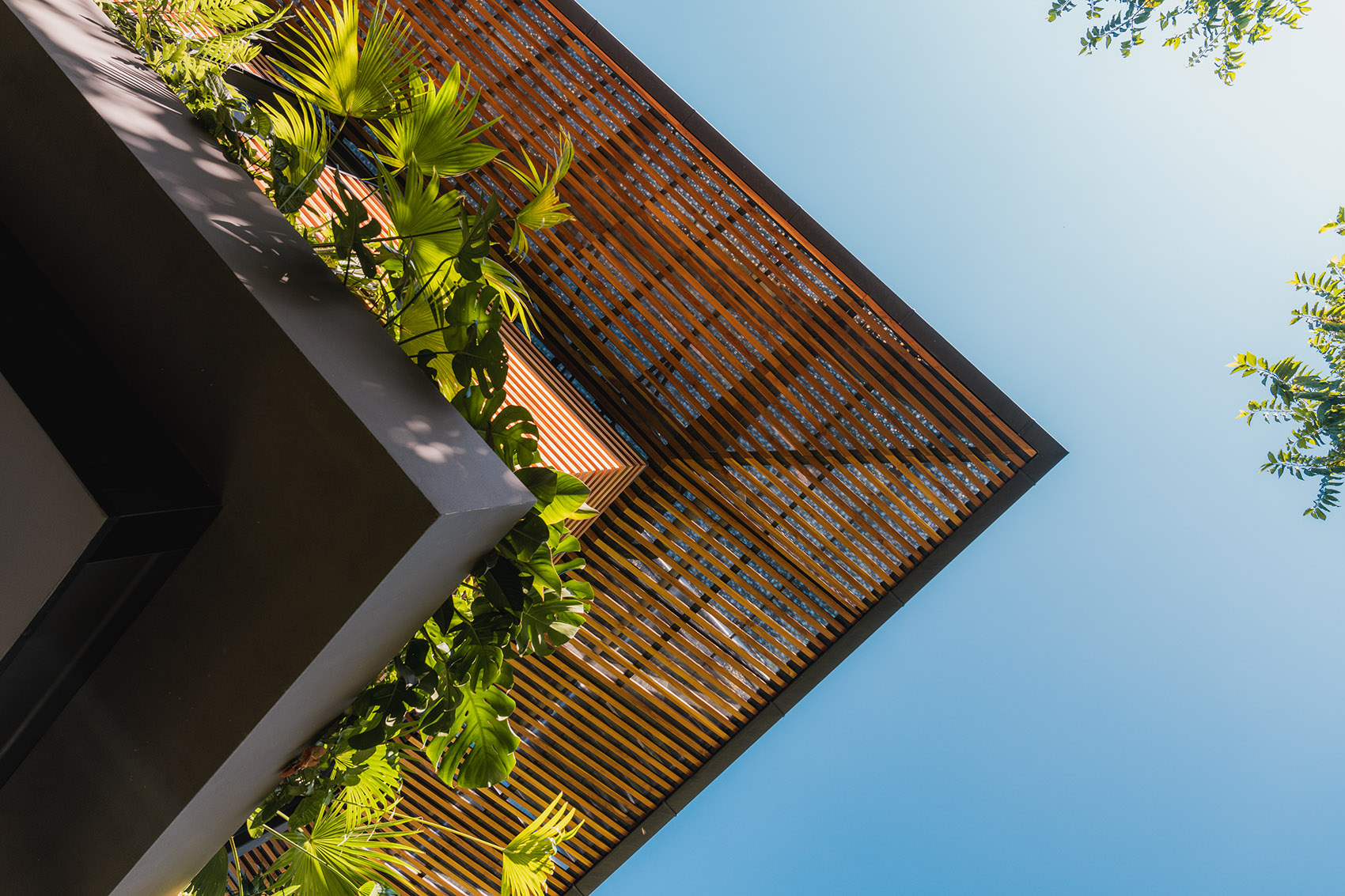 Cascada de Luz 别墅丨哥斯达黎加丨Studio Saxe-20