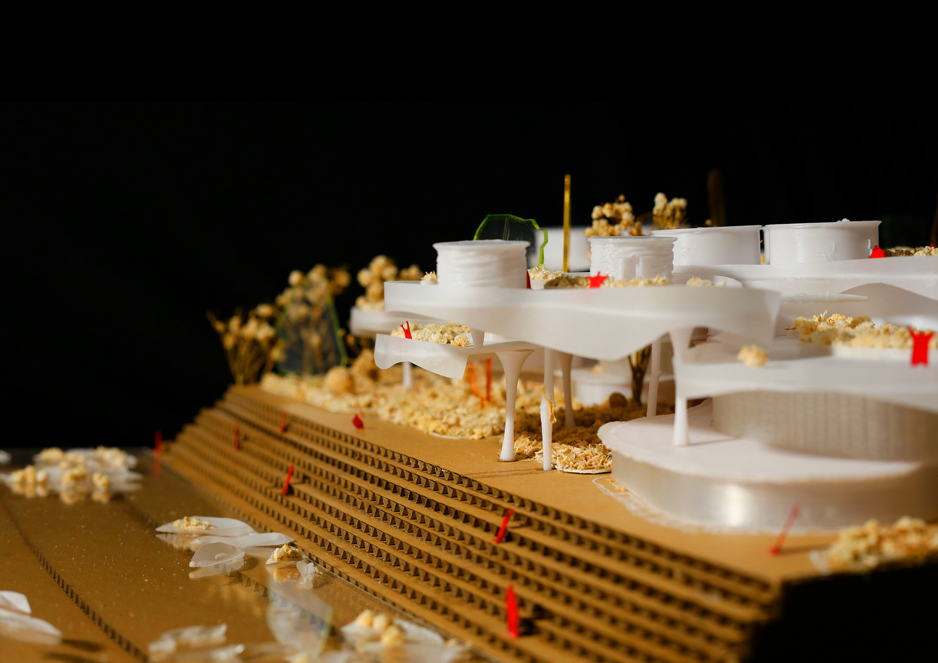 EXHIBITION CENTERS & PROMOTION OF AGRICULTURAL PRODUCTS-19