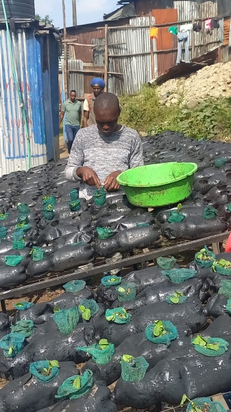 丨肯尼亚内罗毕-44