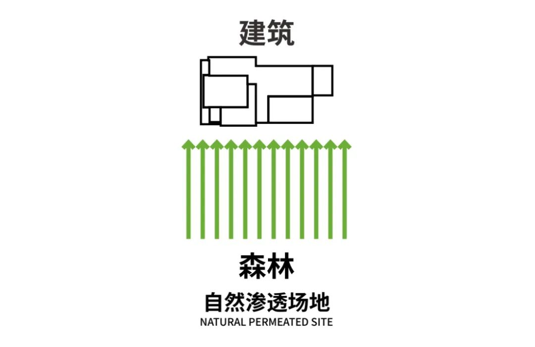 长安有乔木｜中粮 · 大悦未来城城市展厅-25