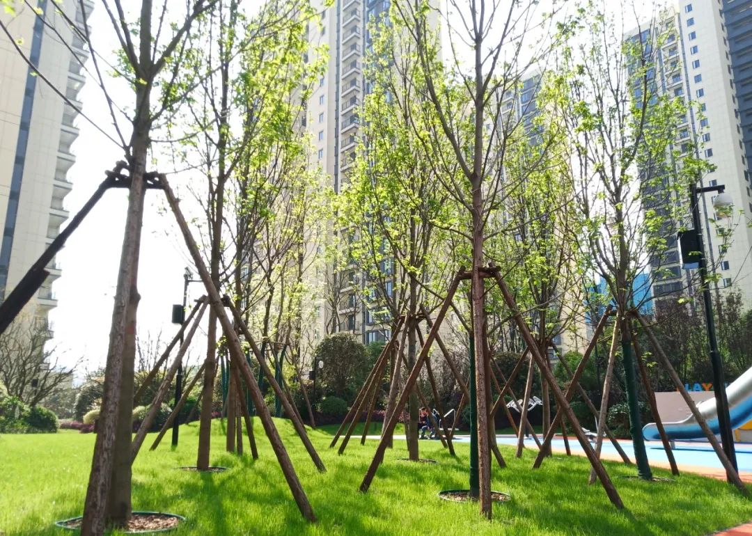 株洲金茂悦丨中国株洲丨LAURENT罗朗景观-38