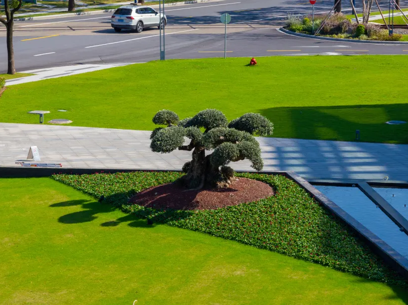 绿化养护｜“智”护钢铁绿洲：宝钢宝山基地的绿色呼吸由我们来守护-131