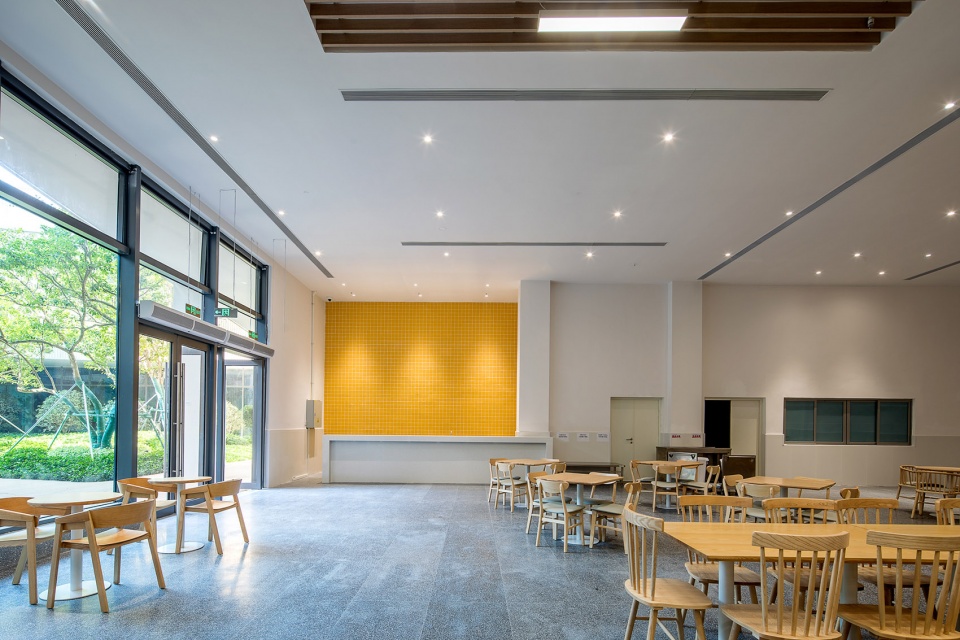 深圳桃园小学 | 高楼林立下的“城市绿洲”-114