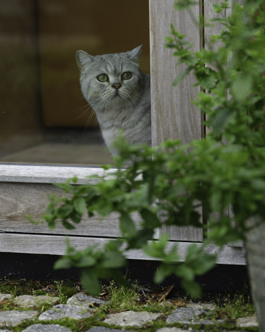 基兰德斯坦住宅丨挪威丨Hoem + Folstad Arkitekter-25