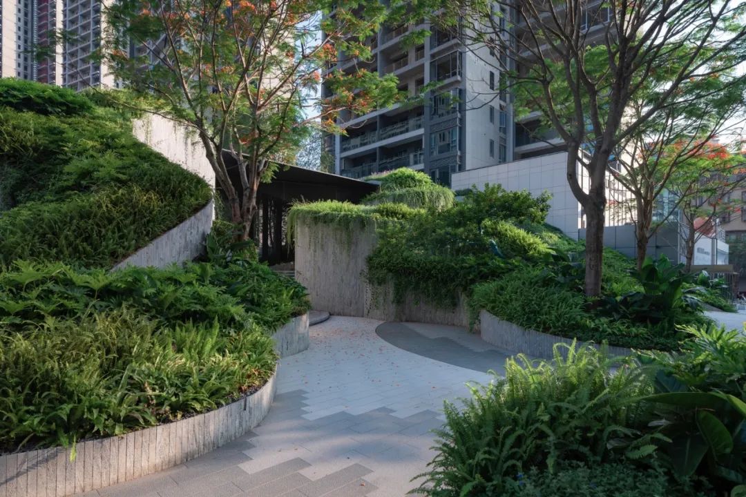 仁恒深圳公园世纪三期丨中国深圳丨TROP景观事务所-24