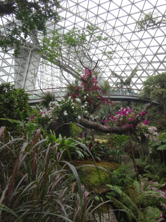 2014青岛世界园艺博览会青岛玻璃屋景观园艺项目丨中国青岛丨Weddle Landscape Design-9