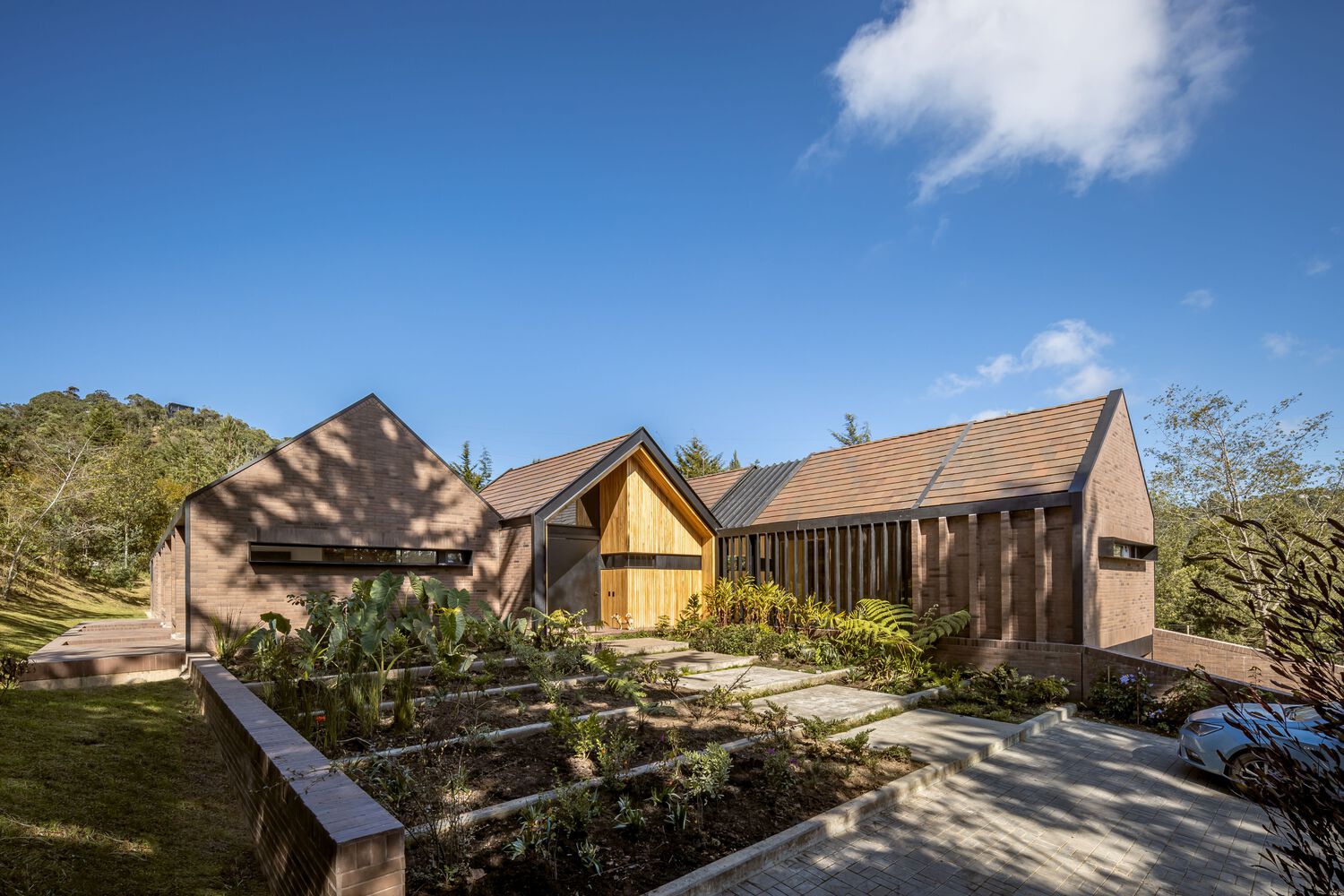 哥伦比亚 OT House丨DARP (De Arquitectura y Paisaje)-15