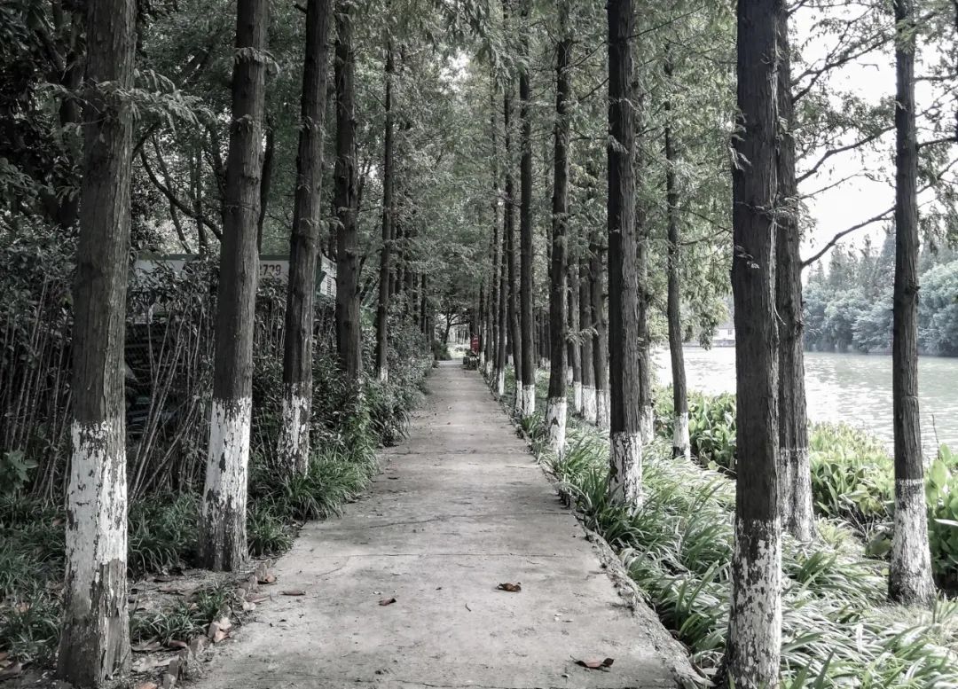 寻趣园·昆山活力街角等景观提升设计丨中国江苏丨上海亦境建筑景观有限公司,上海交通大学设计学院风景园林研究所-24