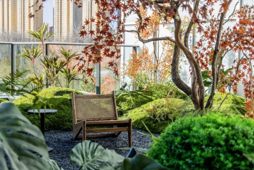 金茂·璞逸丰宜·屋顶露台植物景观·北京丨中国北京丨麦田景观-5