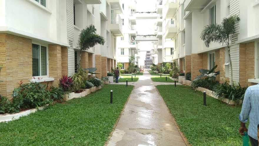 svc treewalk aquaria-5