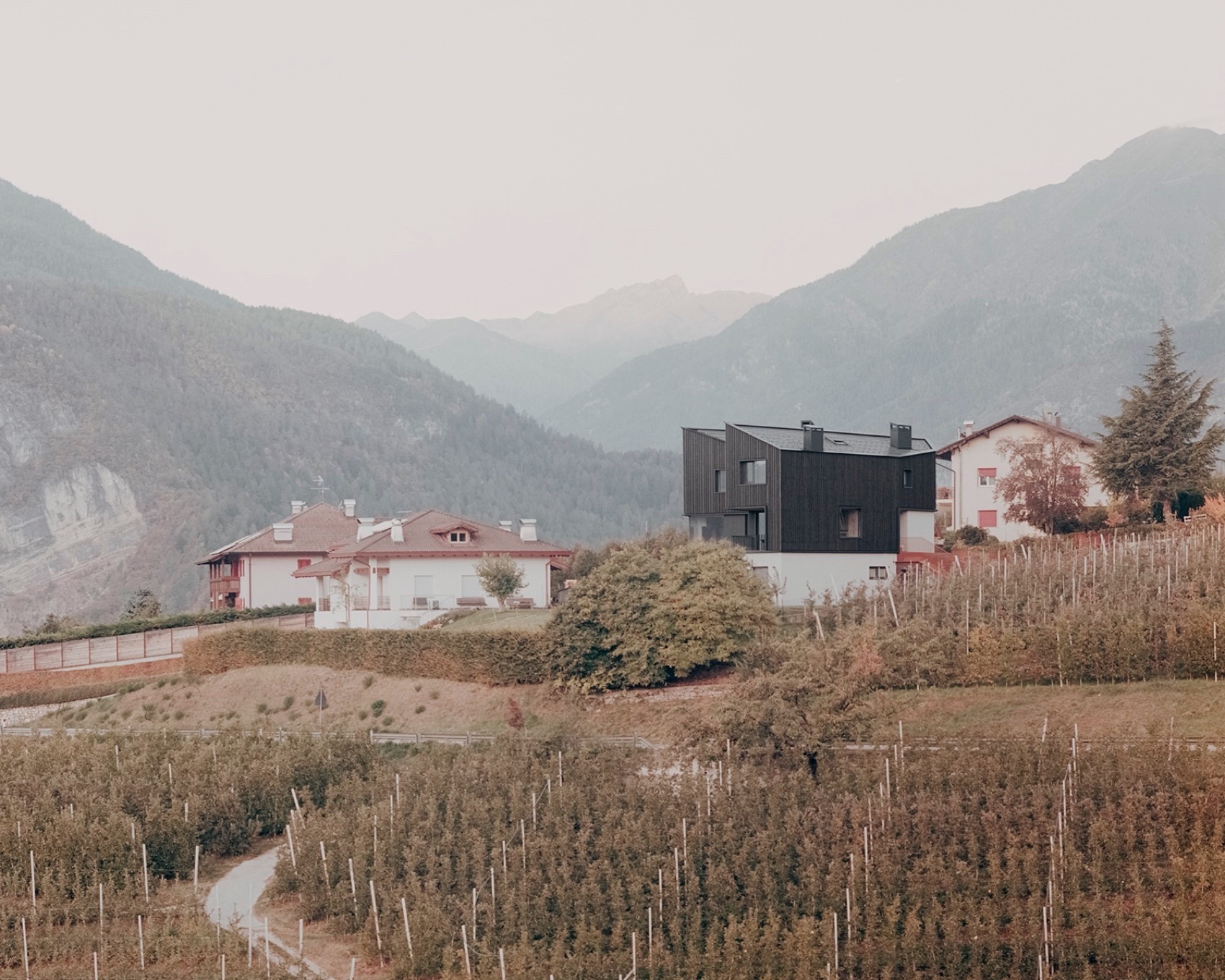 故乡之家丨意大利特伦托-17