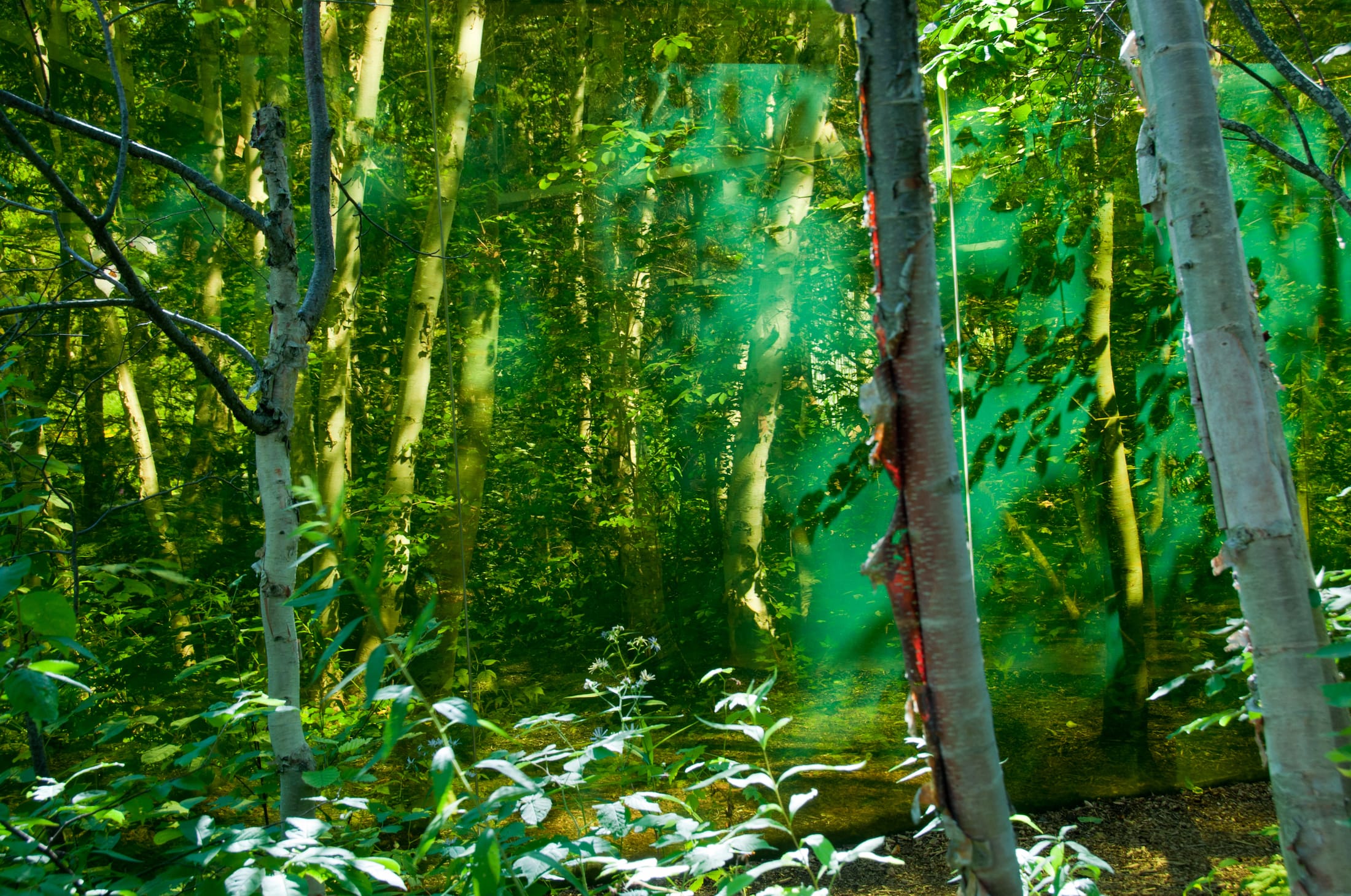 2019 加拿大国际花园节 | 彩色“岩石”结构装置引人入胜-113