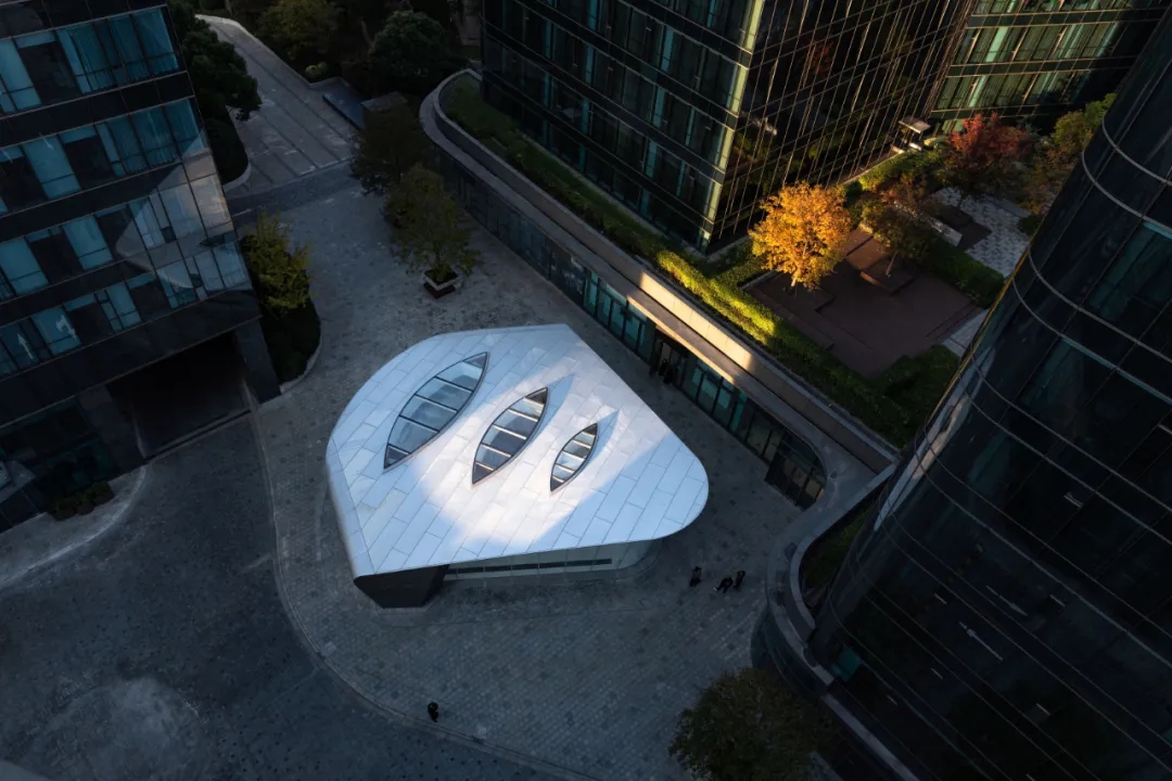 金臣·亦飞鸣美术馆丨中国上海丨HWCD-5