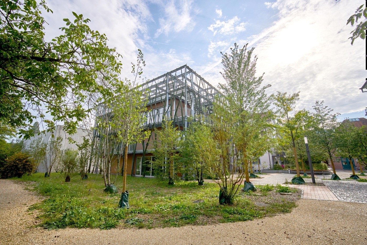 瑞士宇宙能源公司周围景观-20