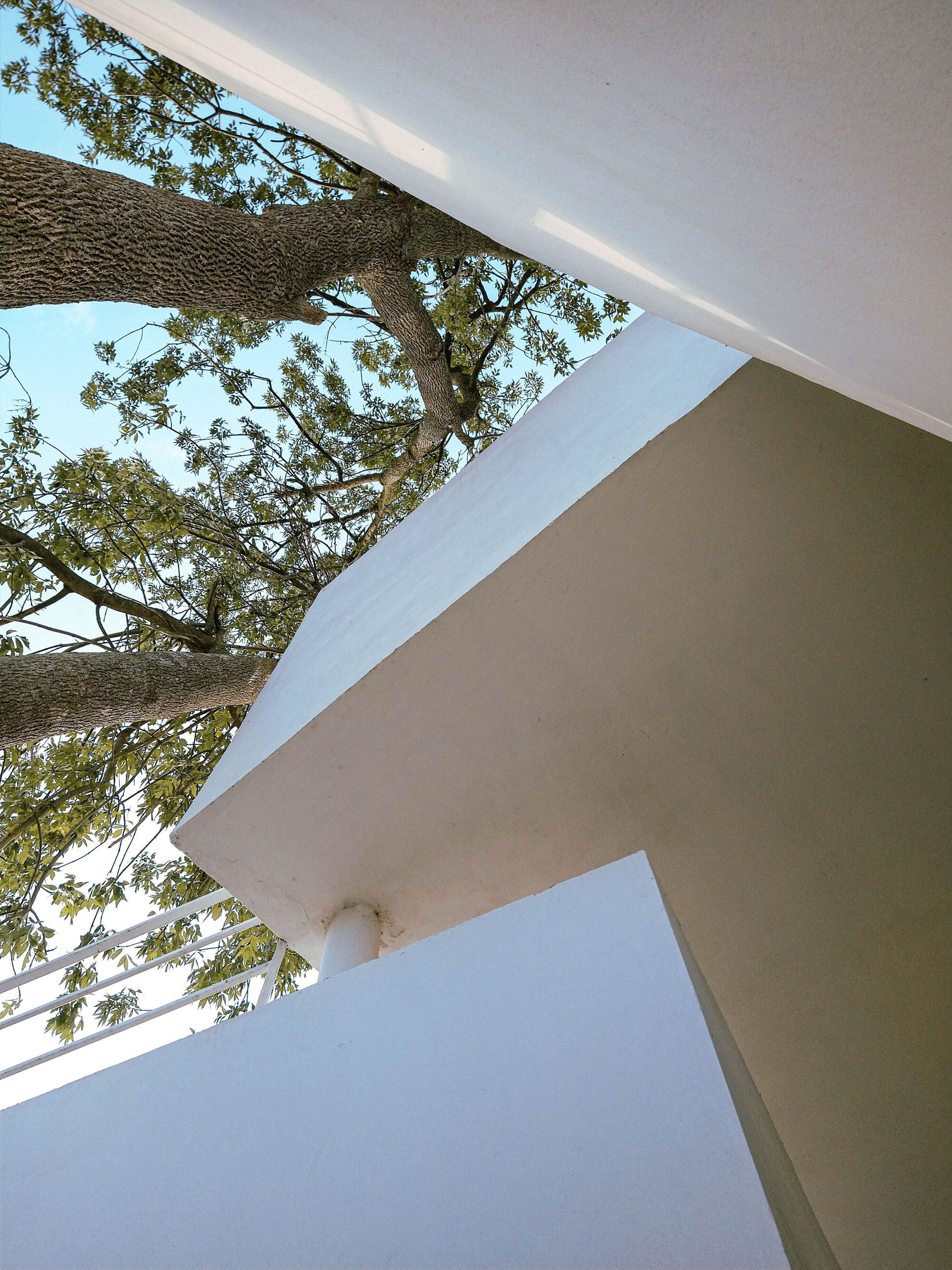 SFFR House丨阿根廷丨Mariano Ravenna-34