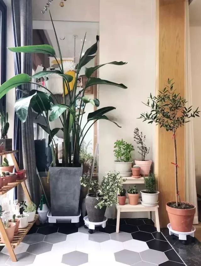 阳台改造，让生活更美好-13