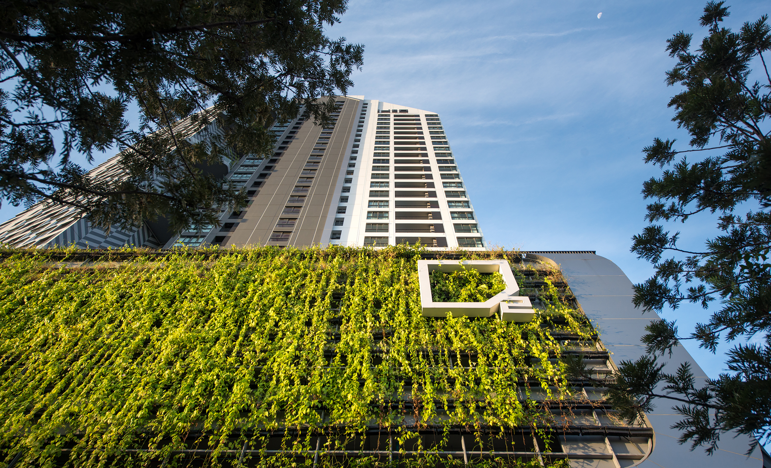 ideo O2 零碳住宅丨泰国曼谷丨Redlandscape.Ltd-34