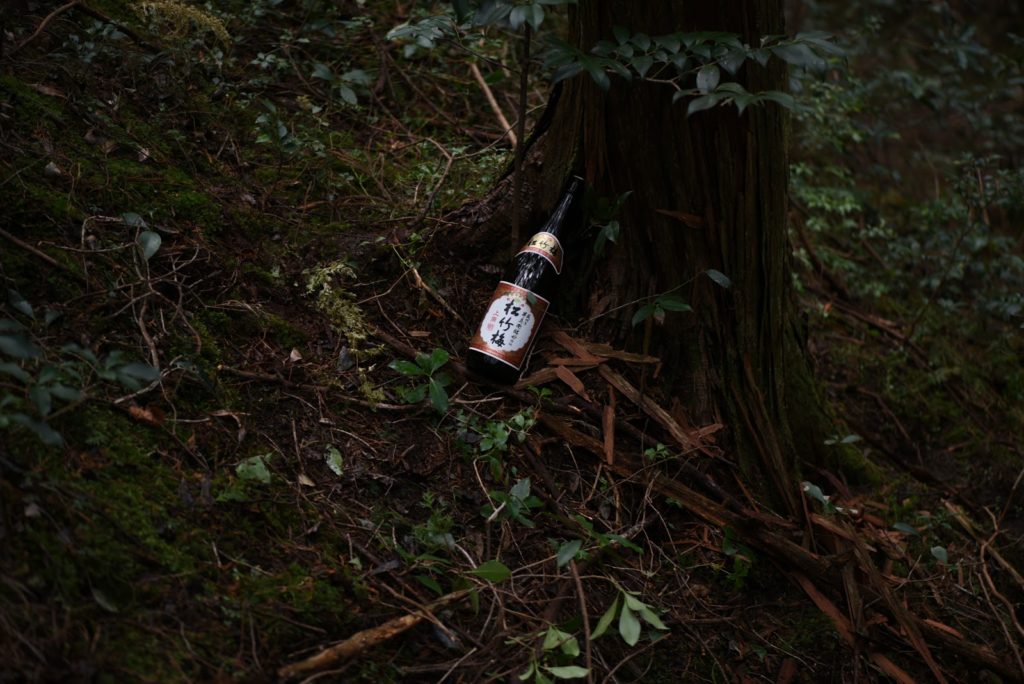 一宮の石場建て１　大黒柱伐採丨水野設計室-17