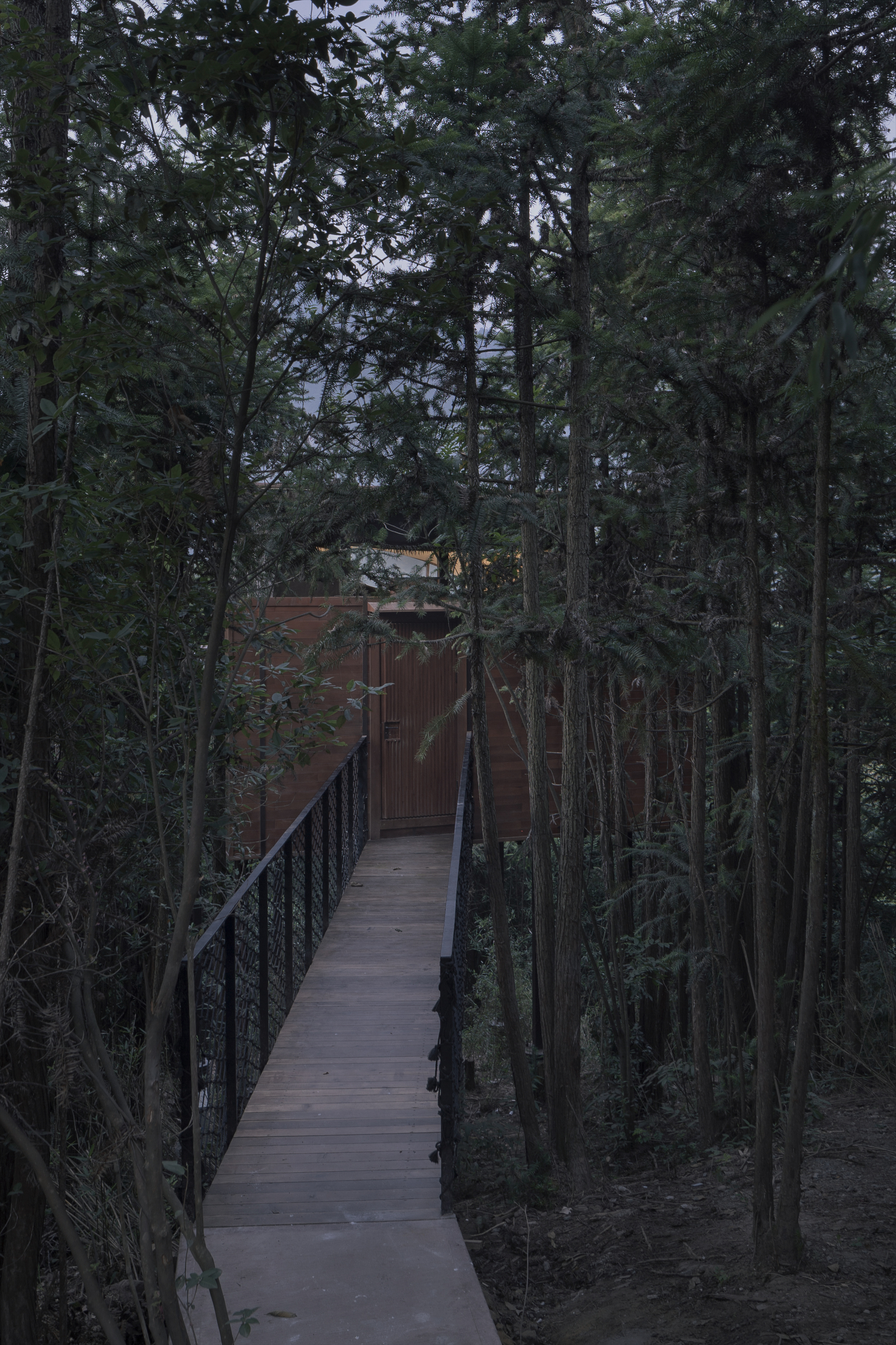 树屋丨中国安徽丨genarchitects-12