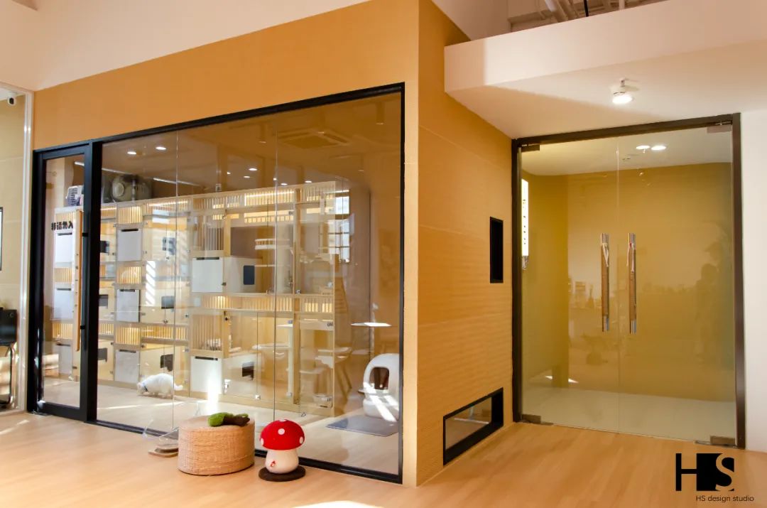 HS 新作 小猫一二只丨中国杭州丨绘狩-33