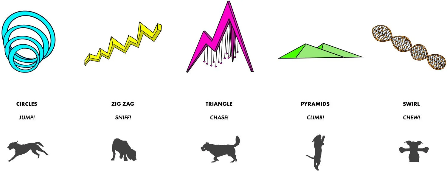 迈阿密地形工作犬吠俱乐部丨美国-11