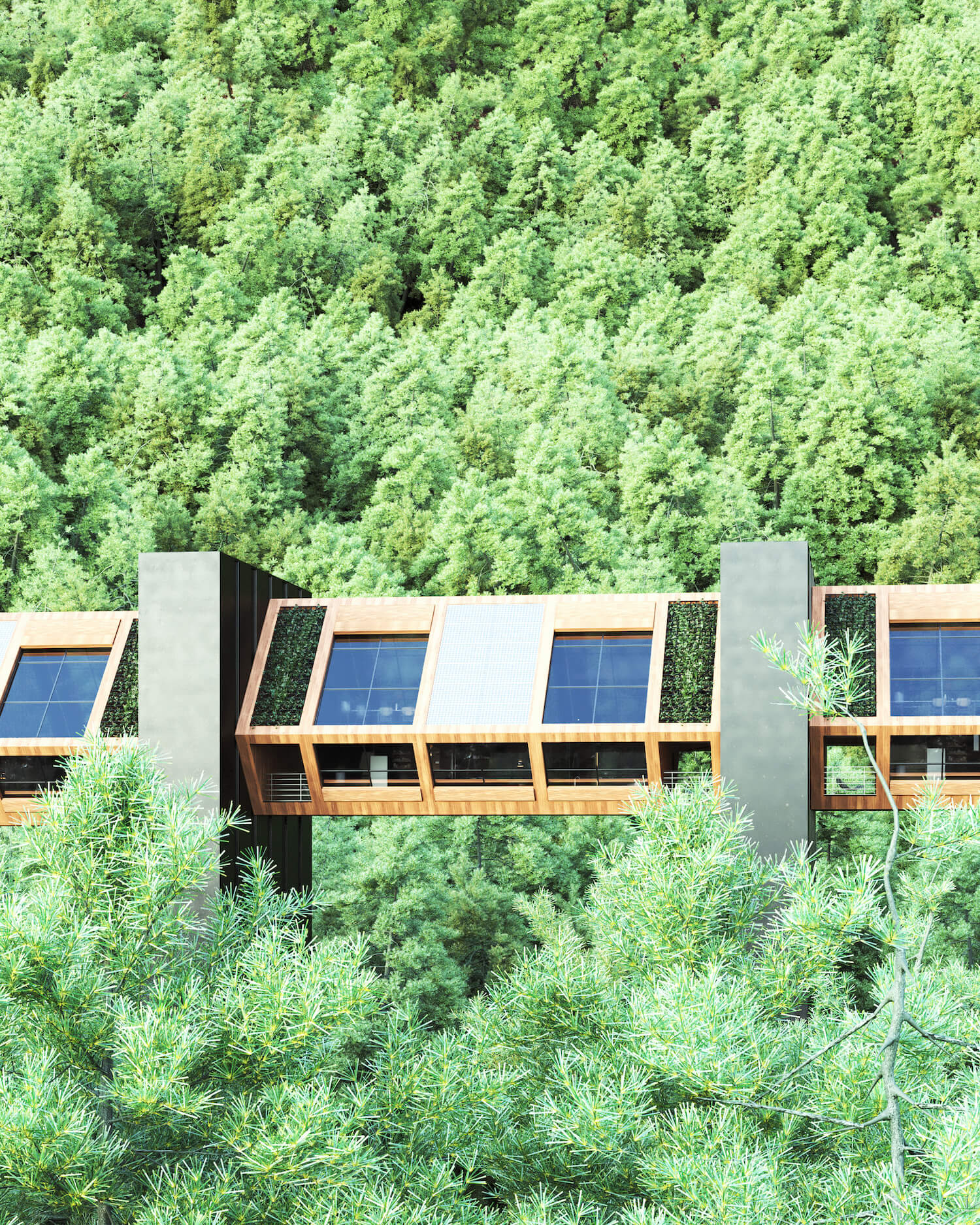 不列颠哥伦比亚省温哥华的电梯房                     -2