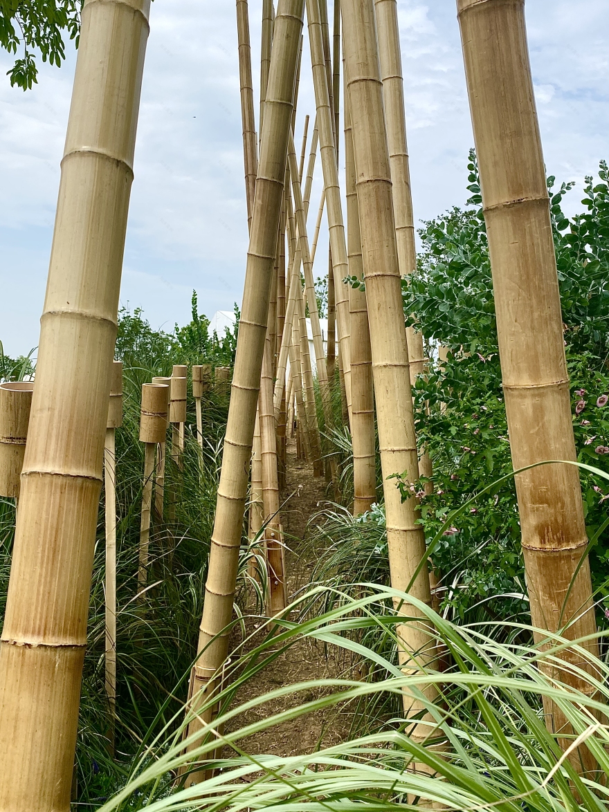 竹林丨中国成都丨Atelier Folie(北林风景建筑研究中心)-11