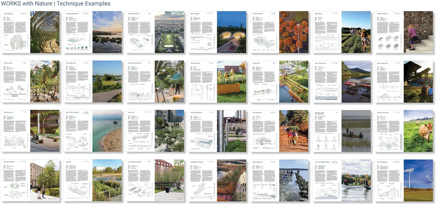 《WORKS with Nature:面向变化世界的低碳适应策略》-47