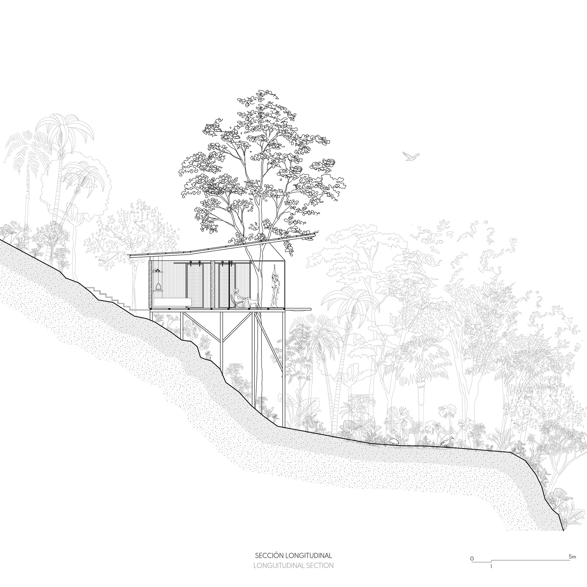 皮圭的一个小屋丨EcuadorPastaza丨Mestizo Estudio Arquitectura-19