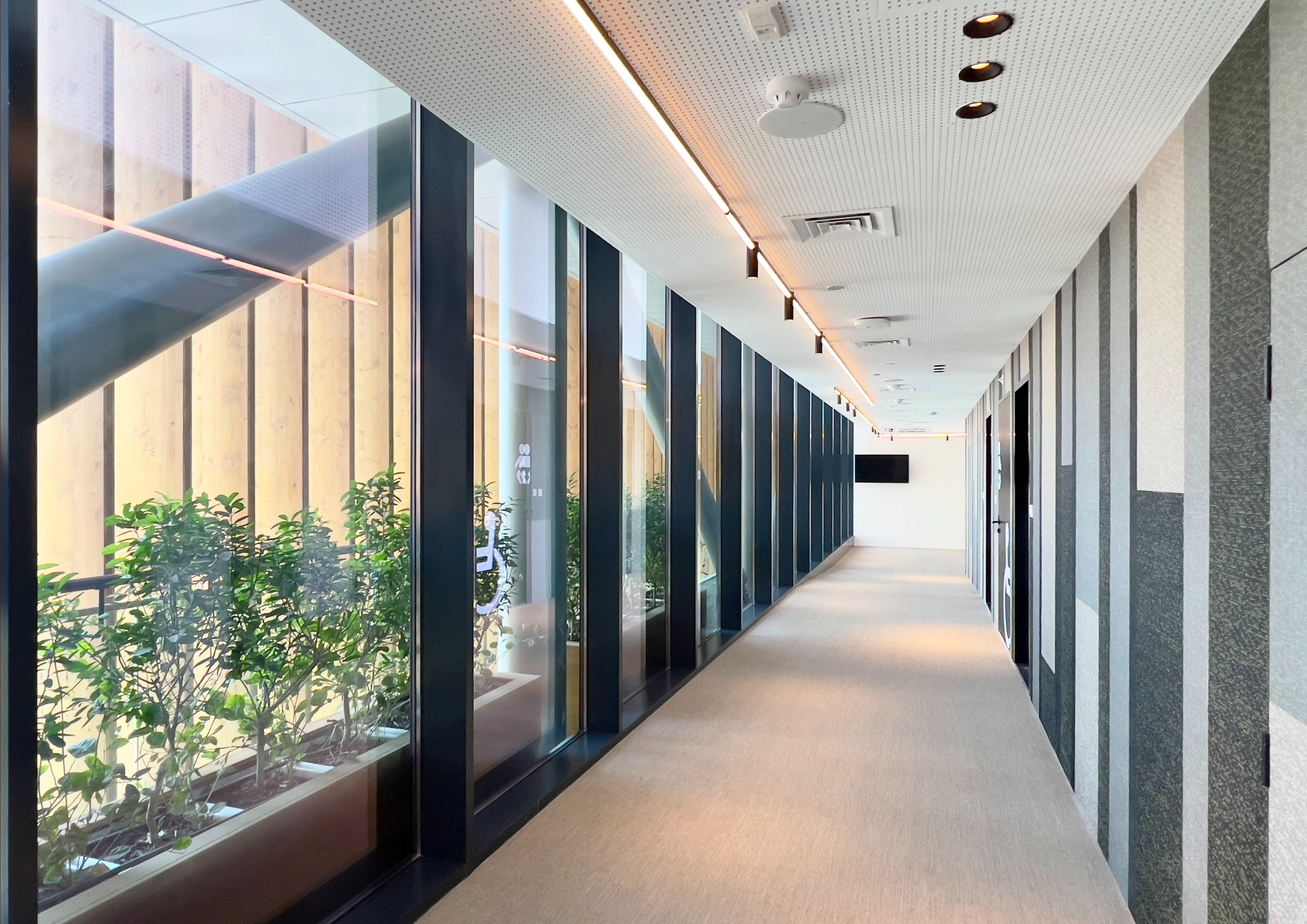 2020 迪拜世博比利时馆-93