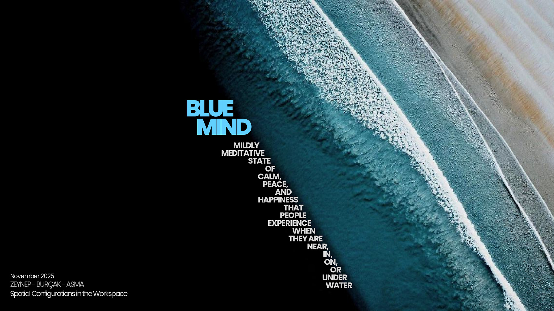 BLUE MIND (PARLEY FOR THE OCEAN) @elisava-0