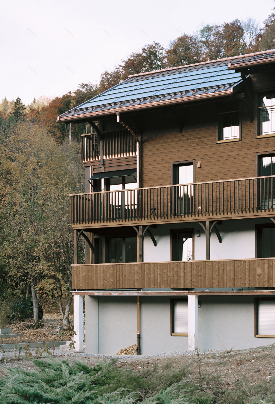 莱斯普雷阿尔卑斯宾馆丨瑞士丨Charly Jolliet Architecte-9