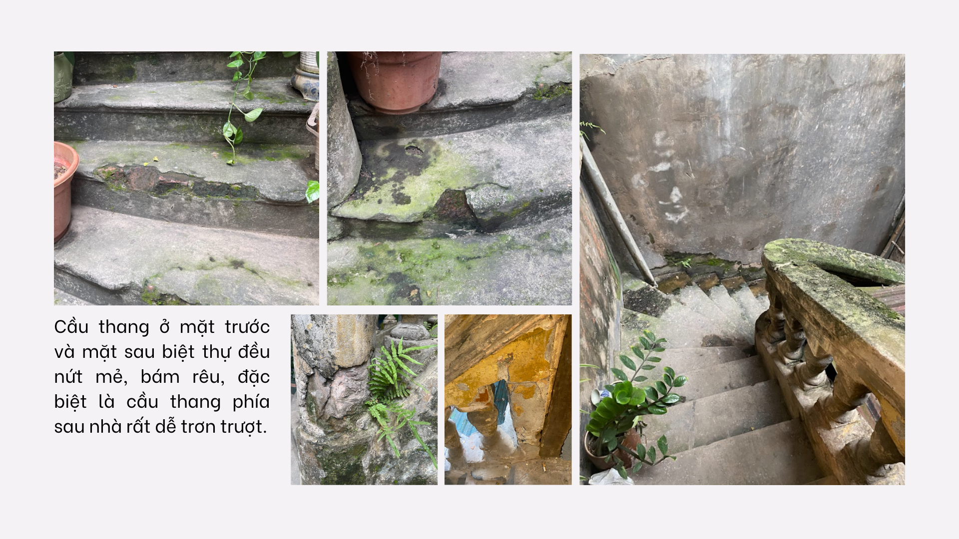 Nghiên cứu bảo tồn Biệt thự số 8 Chân Cầm-39