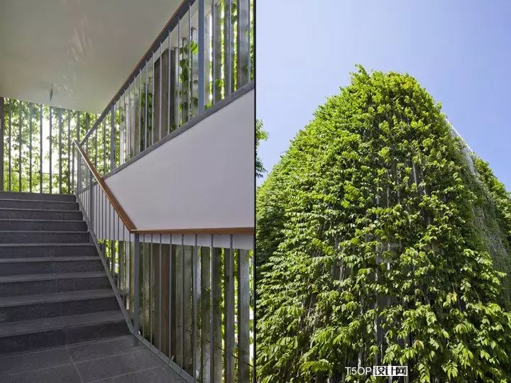 去了越南,这家绿植酒店一定不能错过-25